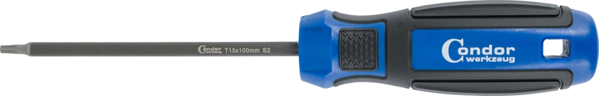 Schraubendreher, T-Profil T15x100 mm