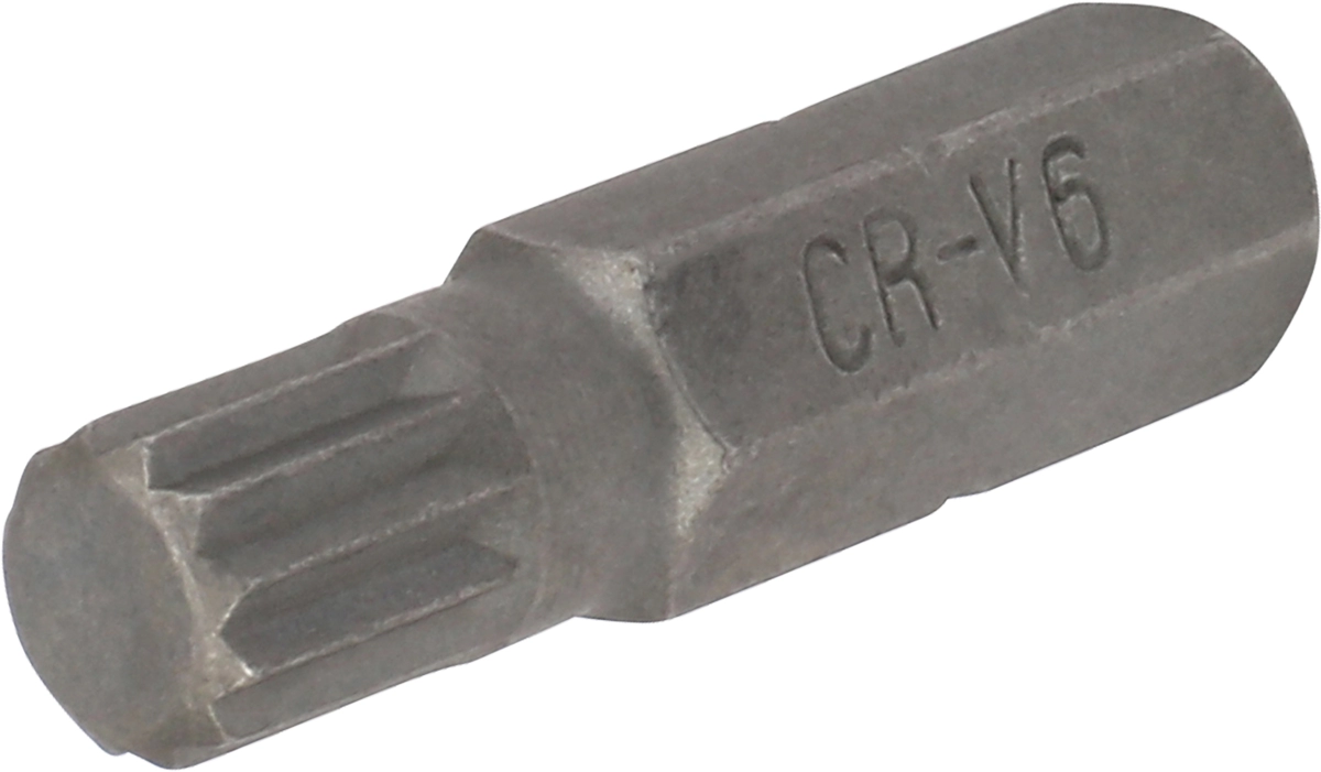 Bit, 1/4" 6-kant, Vielzahn M6x25 mm