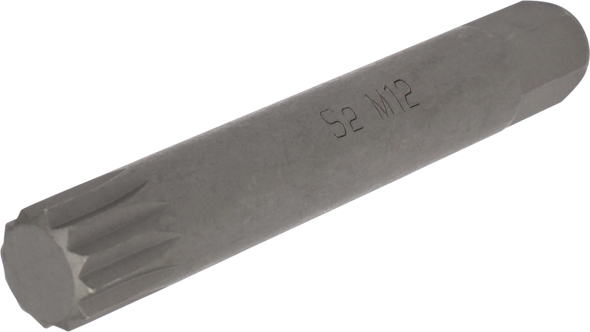 Bit, 10 mm 6-kant, Vielzahn M12x75 mm