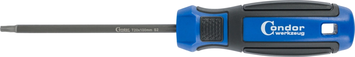 Schraubendreher, T-Profil T20x100 mm