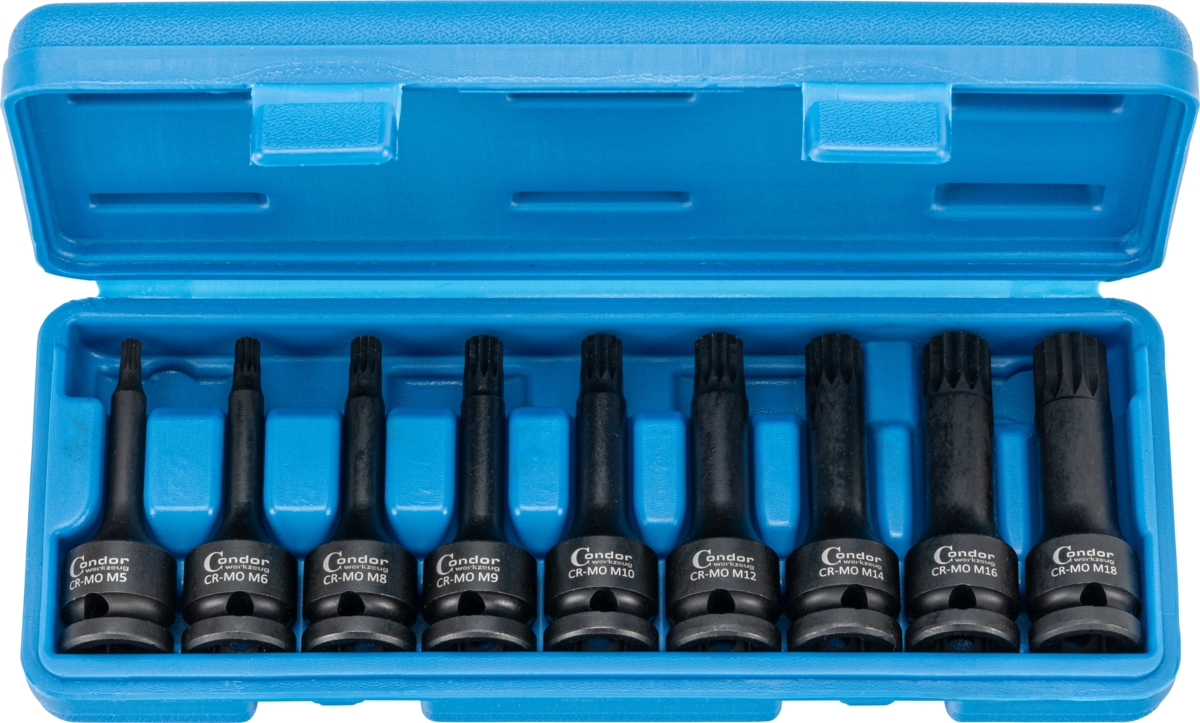 Kraftsteckschlüssel-Satz, 9-tlg., 1/2", Vielzahn M5-18