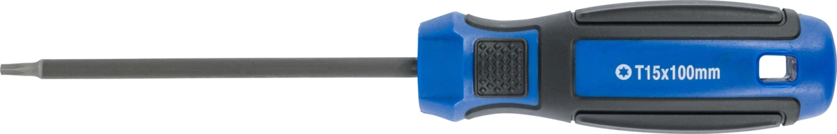 Schraubendreher, T-Profil T15x100 mm