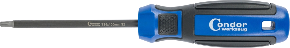 Schraubendreher, T-Profil T25x100 mm
