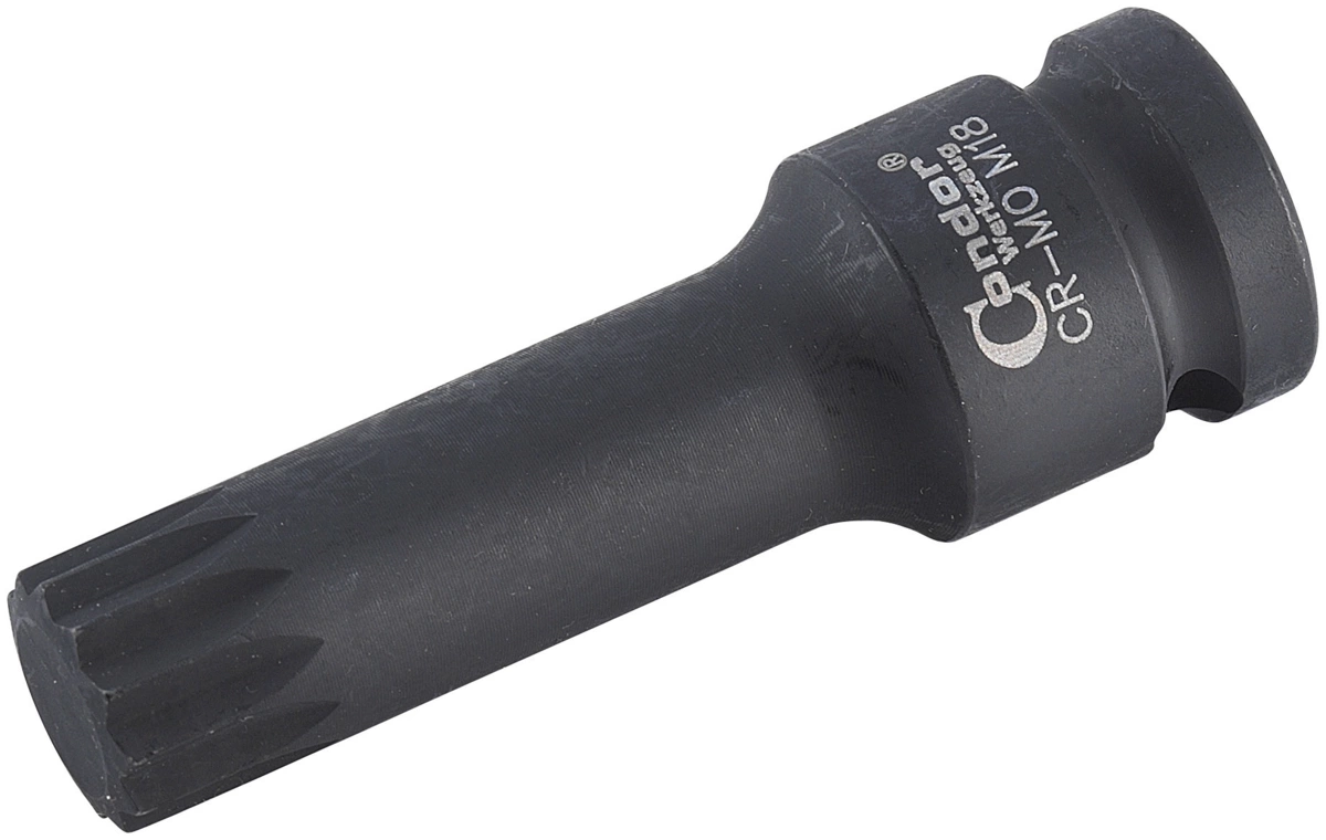 Kraftsteckschlüssel-Einsätze, 6-tlg., 1/2", CrMo, Vielzahn M14-18