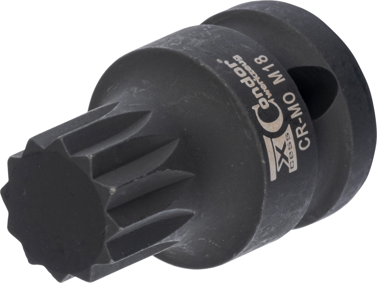 Kraft-Bit-Stecknuss, 1/2", Vielzahn M18x40 mm