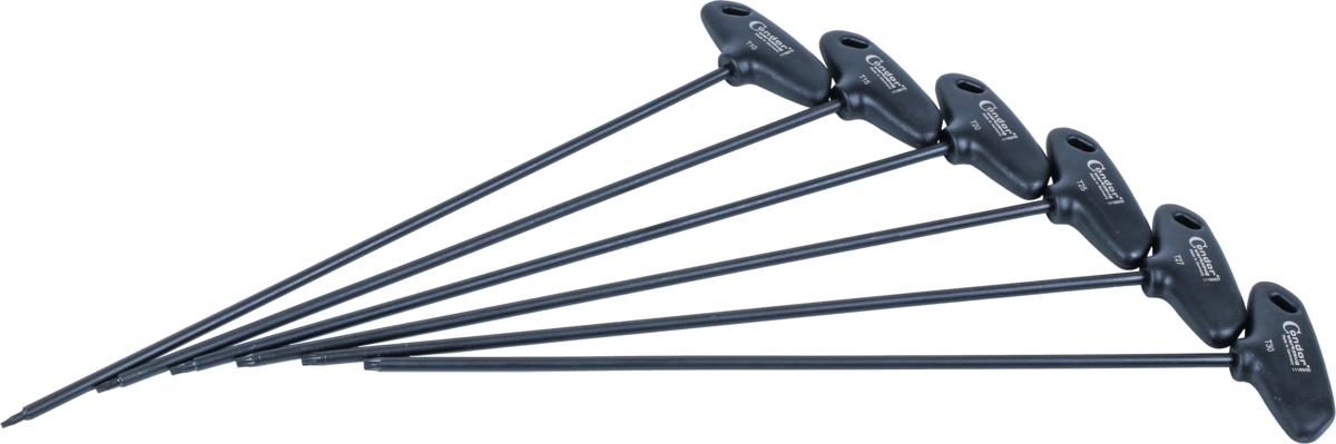 T-Griff-Schraubendreher-Satz, 6-tlg., extra lang, T-Profil T10-30