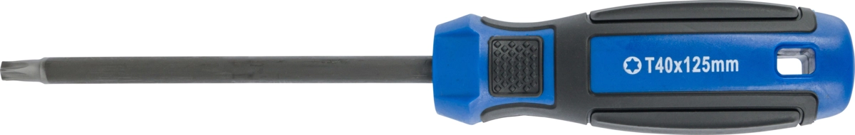 Schraubendreher, T-Profil T40x125 mm