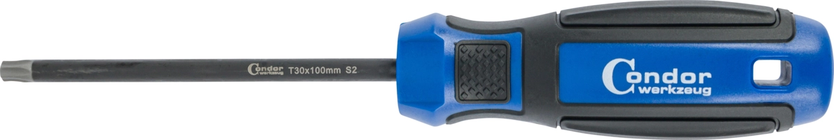 Schraubendreher, T-Profil T30x100 mm