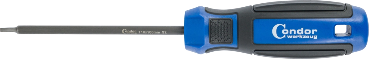 Schraubendreher, T-Profil T10x100 mm