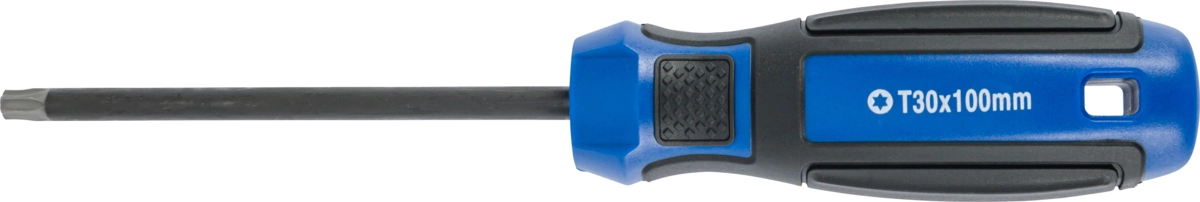 Schraubendreher, T-Profil T30x100 mm